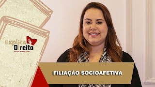 Explica Direito Filiação Socioafetiva  2019 [upl. by Desma391]